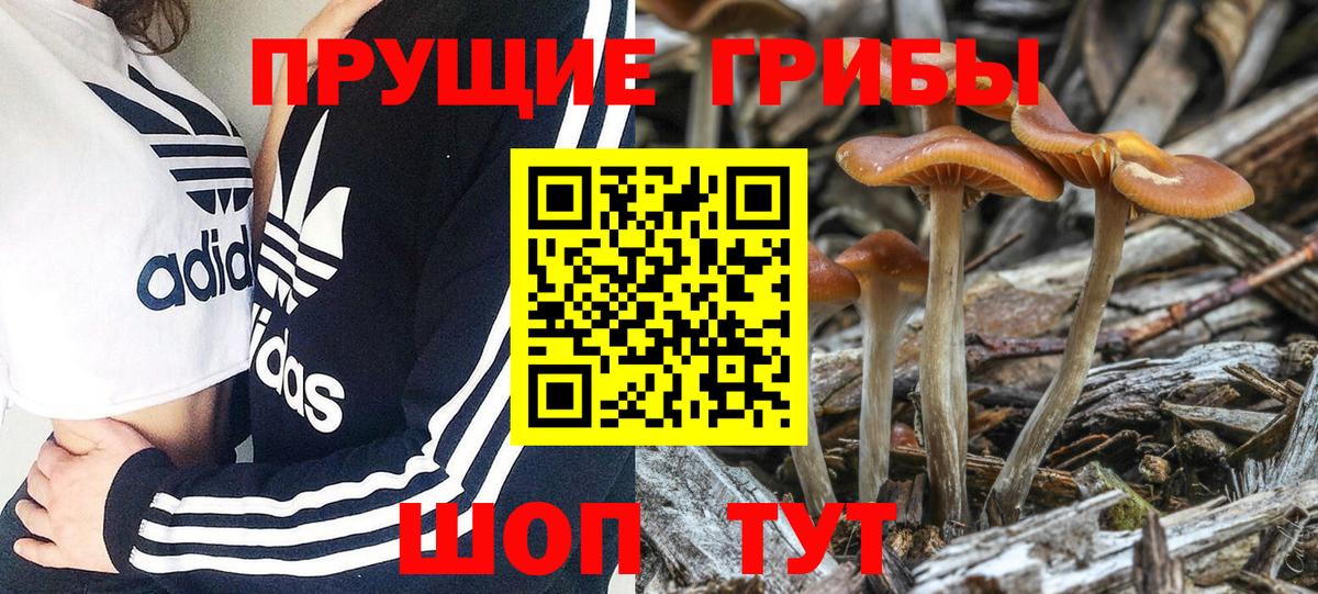 Сердобск  Псилоцибиновые грибы Cubensis  Псилоцибиновые грибы мицелий  Вход с VPN 